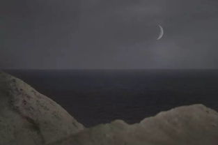 一、 生肖牛——守护力量与家族共鸣的双重需求