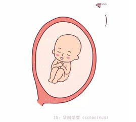 （一）身体健康状况较长寿