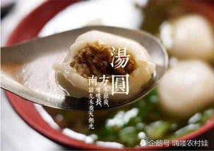 四、 水餃湯圓年糕—食物寓意延伸到人生哲理