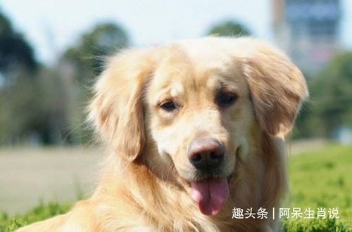 早期人生经历与性格塑造的影响