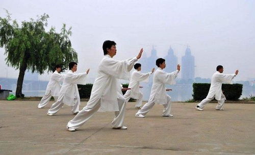 社区推广：中老年人群体的生活质量提升