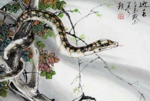 2023年属蛇运势详解：摆脱太岁之忧， 迎接新生