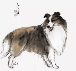 3. 狗——忠诚善良却易被误解的奉献者