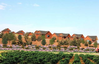 景区设施：残破不堪, 比我家厕所还脏