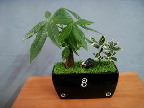 综合评估与实践建议