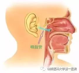 二、 西医说这叫发炎？我看是外星人入侵！