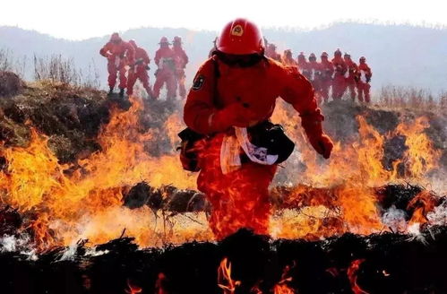 五行火——燃烧吧！