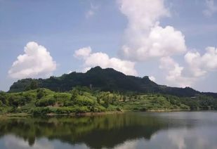 重庆土家族风情旅游胜地有哪些推荐？一场让人迷失在山雾里的灵魂拷问