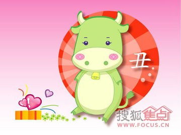 十二生肖楼层吉数是什么，如何根据生肖选择楼层以提升财运？