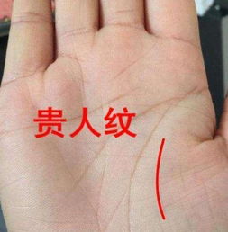 一、 手掌色泽与生命活力之关系