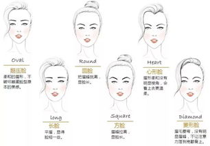 2.1 面部结构对夫妻经济协同作用的机制