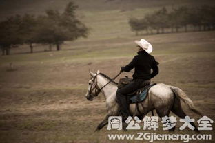 女人梦见骑马是什么预兆？周公解梦有何解释？