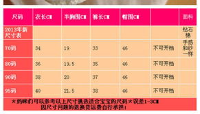 一．与研究范围概述