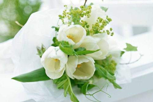 孕妇梦见白色的玉兰花，这预示着什么吉祥的寓意？