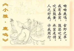 二、从《诗经》里偷个名字出来（顺便加点广告）