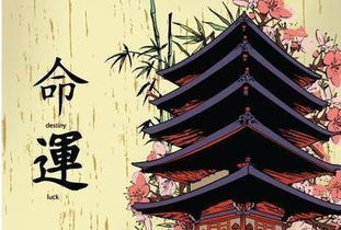 -   天命禀赋：五行与时令交织下姿容美的初始密码