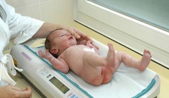 梦见医院里有彳艮多刚出生的婴儿，这是怎么回事呢？