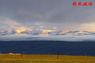 G6京藏高速上的绝望时刻