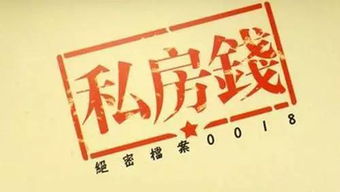 武曲星男性群体的投资项目导向型储蓄模型