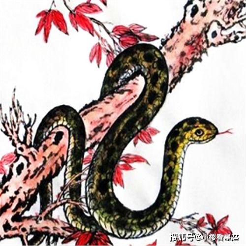 2. 喜事临门之预示——风水优良的表现