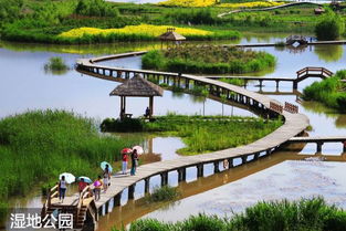 第五章：返程的绝望