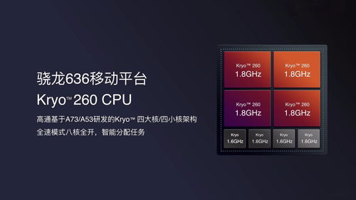 三、 设置一下？啥都别管！