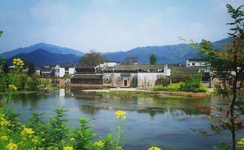 地域性風俗與寶地傳說