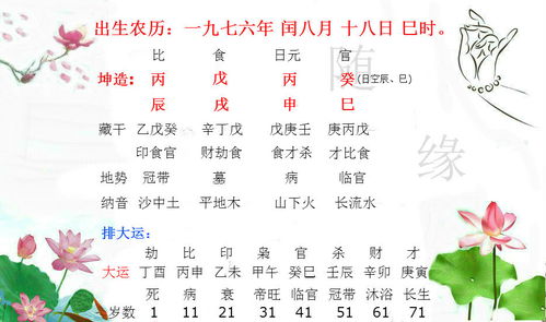 二、 「华盖悖师」( 発+丙 ) 的逆境跃迁模式