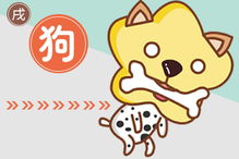 1.3 不同年龄段案例对比