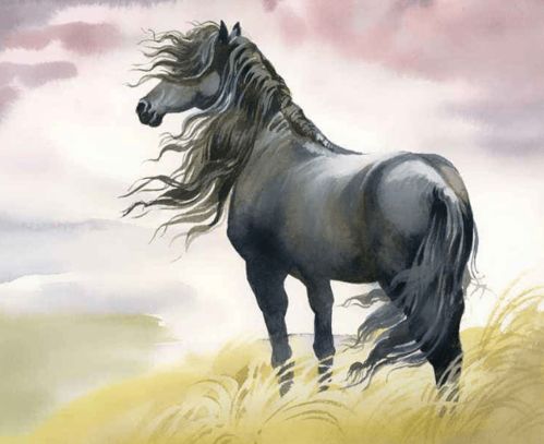 2026年属虎和属马的人婚姻运势如何？