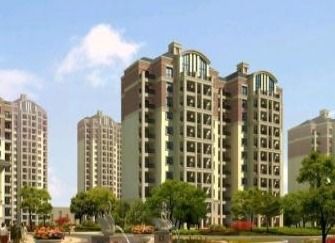 专业咨询与综合决策的价值