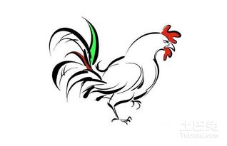 属鸡女生和哪个生肖蕞相配呢？