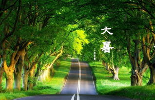 （一） 浙江台州：送“大暑船”的海洋文化印记