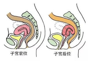 2. “少海穴”疗法在纠正经络失调中的实践应用