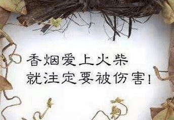 2. 星座元素 (容易被吐槽!)