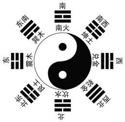 各类龍在事业、 身体健康状况、财运及人格特质上的差异化表现