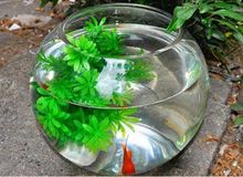 2. 东南角——文昌气运提升