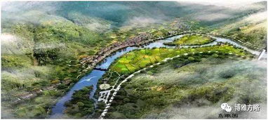 创新案例：皇山景城店的洗护革命