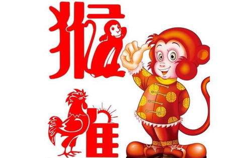 （二）猴—鸡：竞逐并存、 协作可期