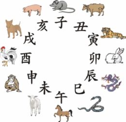 门代表什么数字及对应的生肖是什么？