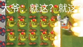 3. 与家族渊源相关的字词