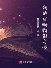 文本概述