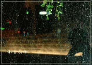 雨后幽径的景象