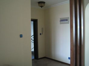 客厅及玄关区域：延伸空间与财运考量