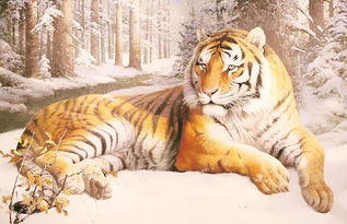 龙化虎变是什么生肖？