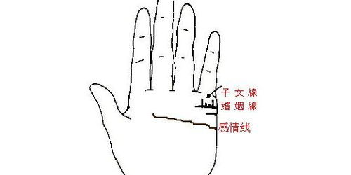 4. 婚娶线路支叉与支枝之间的差别及其社会周边环境行为暗示
