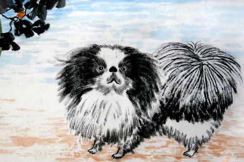 1982年生的狗子特别惨