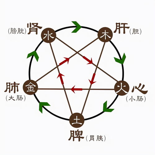 绪论：风水学理论体系中“单穴独气”原则的确立及其学理基石