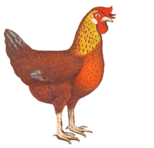 供奉空间与仪式布局