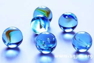 碟子梦境大乱炖：一场荒诞离奇的解梦狂欢